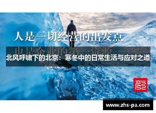 北风呼啸下的北京:寒冬中的日常生活与应对之道 北风呼啸下的北京:寒冬中的日常生活与应对之道