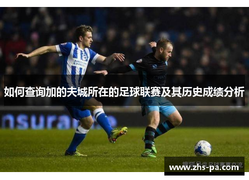 如何查询加的夫城所在的足球联赛及其历史成绩分析