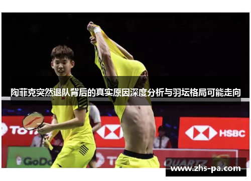 陶菲克突然退队背后的真实原因深度分析与羽坛格局可能走向