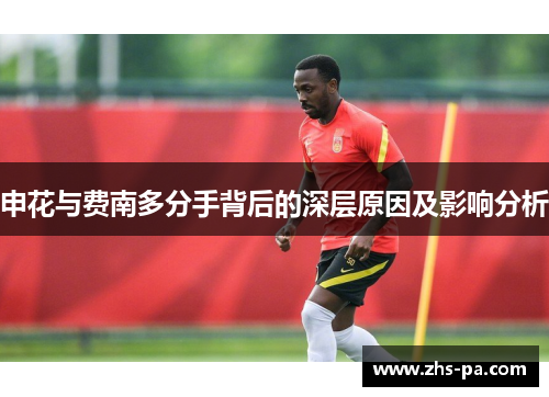 申花与费南多分手背后的深层原因及影响分析