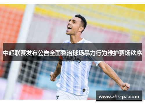 中超联赛发布公告全面整治球场暴力行为维护赛场秩序