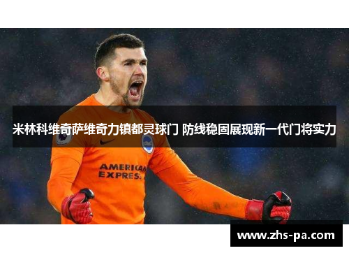 米林科维奇萨维奇力镇都灵球门 防线稳固展现新一代门将实力