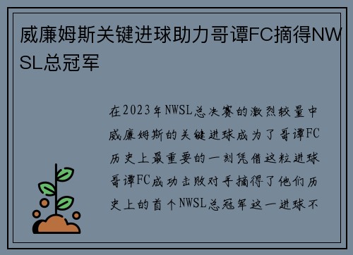 威廉姆斯关键进球助力哥谭FC摘得NWSL总冠军 威廉姆斯关键进球助力哥谭FC摘得NWSL总冠军