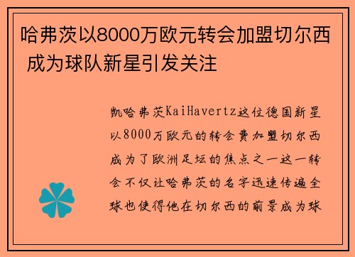哈弗茨以8000万欧元转会加盟切尔西 成为球队新星引发关注 哈弗茨以8000万欧元转会加盟切尔西 成为球队新星引发关注